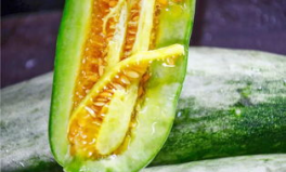 網(wǎng)紅視頻吃瓜最新,揭秘娛樂圈最新熱點(diǎn)事件