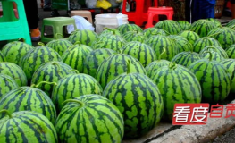 自貢網(wǎng)紅吃瓜事件,一場網(wǎng)絡(luò)狂歡背后的真相揭秘