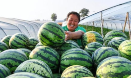 人民吃瓜網(wǎng),揭秘娛樂圈幕后故事，帶你領(lǐng)略明星真實(shí)生活