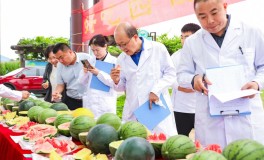 中國人的“吃瓜自由”底氣越來越足91王今日吃瓜